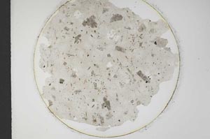 Plane Polarized, S12781