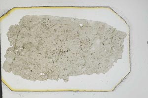 Plane Polarized, S12782