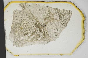 Plane Polarized, S12783