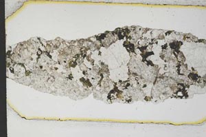Plane Polarized, S12792