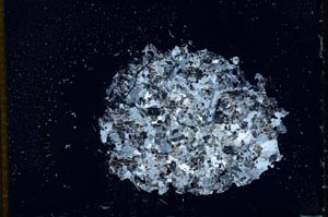 Cross Polarized, S12798