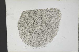 Plane Polarized, S12811