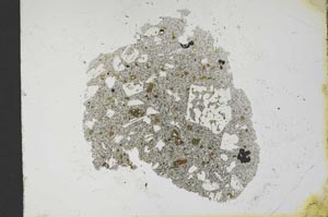 Plane Polarized, S12816