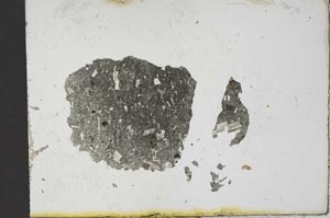 Plane Polarized, S12820