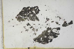 Plane Polarized, S12823
