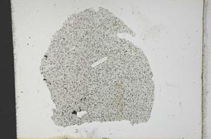 Plane Polarized, S12825