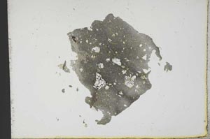 Plane Polarized, S12827
