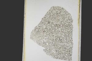 Plane Polarized, S12863