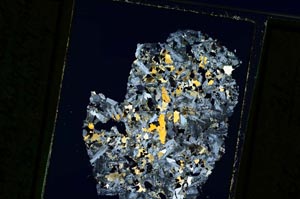 Cross Polarized, S12866