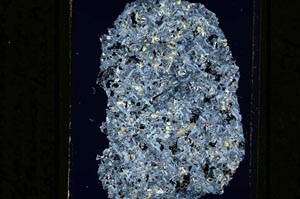 Cross Polarized, S12867