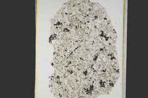 Plane Polarized, S12867