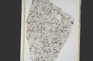 Plane Polarized, S12876