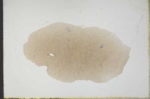 Plane Polarized, S12883