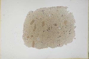 Plane Polarized, S12899