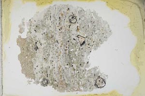 Plane Polarized, S12912