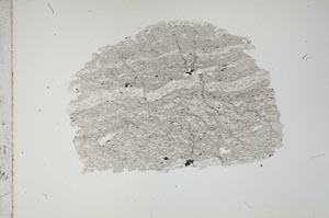 Plane Polarized, S12917