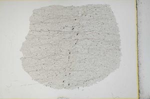 Plane Polarized, S12918