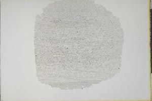 Plane Polarized, S12919