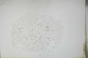 Plane Polarized, S12920