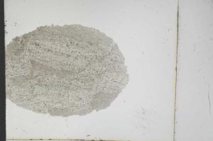 Plane Polarized, S12929