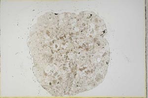 Plane Polarized, S12938