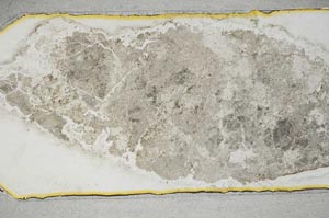 Plane Polarized, S12956