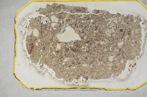 Plane Polarized, S12960