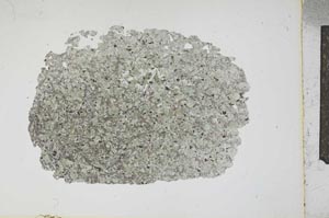 Plane Polarized, S12965