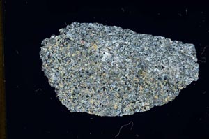 Cross Polarized, S12966