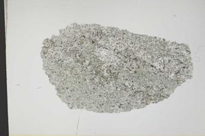 Plane Polarized, S12966