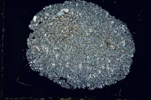 Cross Polarized, S12967