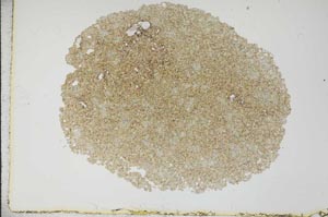 Plane Polarized, S12967