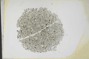 Plane Polarized, S12968