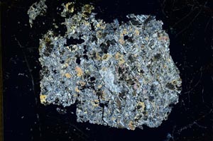 Cross Polarized, S12970