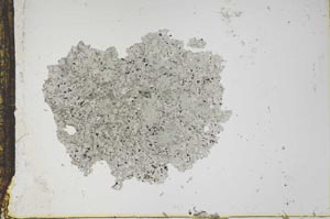 Plane Polarized, S12974