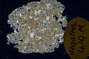 Cross Polarized, S12978