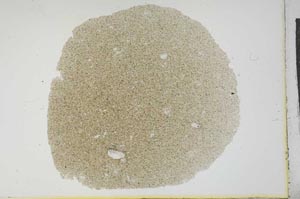 Plane Polarized, S12980