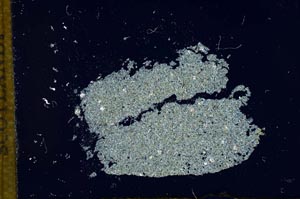 Cross Polarized, S12987