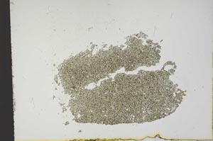 Plane Polarized, S12987