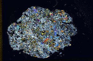 Cross Polarized, S12989