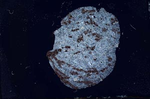 Cross Polarized, S12997