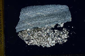 Cross Polarized, S13005