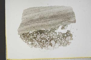 Plane Polarized, S13005