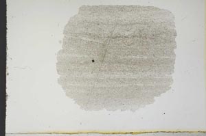 Plane Polarized, S13007