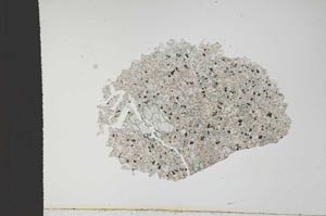 Plane Polarized, S13008