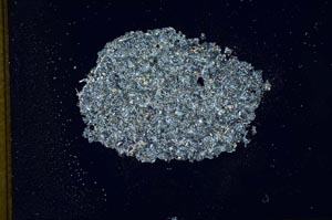 Cross Polarized, S13028