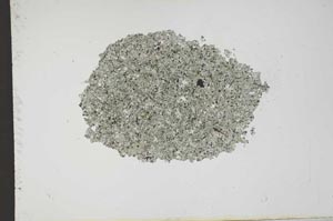 Plane Polarized, S13028