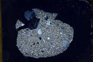 Cross Polarized, S13029