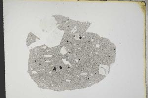 Plane Polarized, S13029