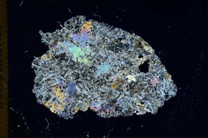 Cross Polarized, S13031